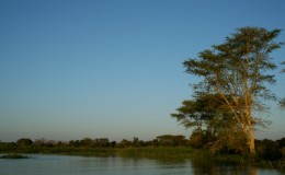 Real Malawi