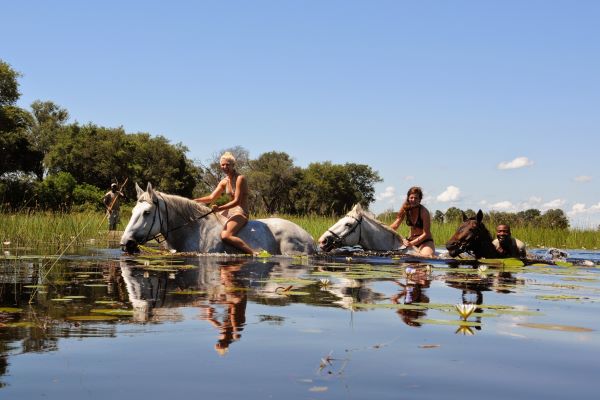 Guests and guide swimming with their safari horses, African Horseback Safaris, Botswana