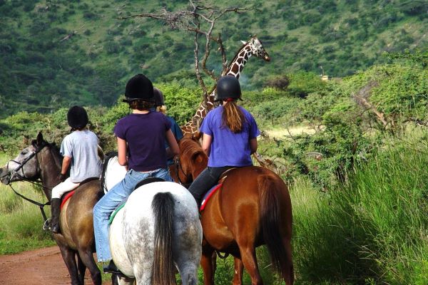 On horseback you can get closer to the wildlife, Lewa Wilderness, Lewa, Kenya