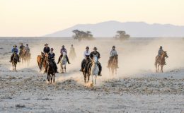 Group riding safaris: The ultimate adventure for friends and family