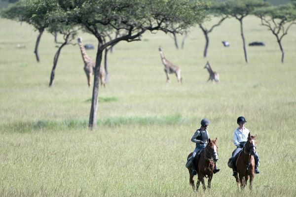 Offbeat Riding