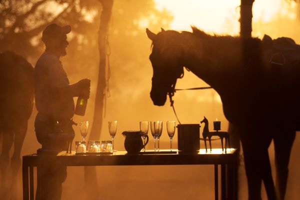 Champagne dinner with Okavango Horse Safari