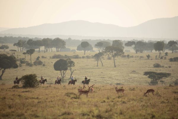 Morning ride with an antelope herd, Safaris Unlimited, Kenya