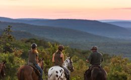 10 African Riding Safaris for Beginners
