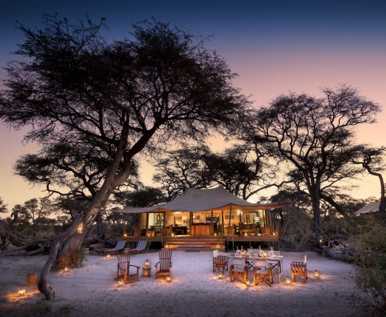 Stunning tented camps