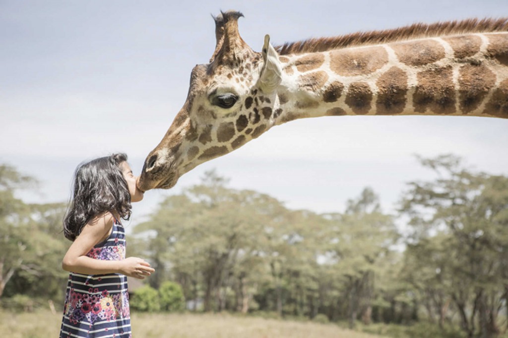Giraffe Manor kiss