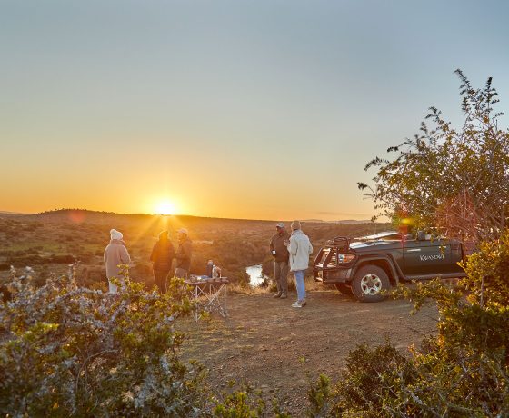 Safari food and drink