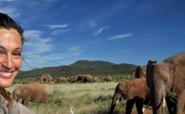 Saba Douglas-Hamilton, elephant conservationist with herd of Samburu elephants, in Samburu, Kenya