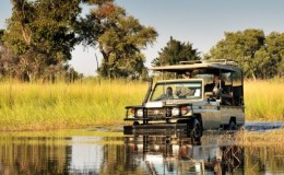 Game driving 4x4 through the Okavango Delta, Botswana