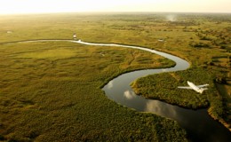 Okavango Delta aerial Botswana river meandering and light aircaft