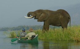Mana Canoe Trail elephant and canoe safaris