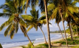 Beach at The Tides, Tanzania
