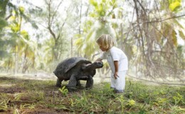 Child with giant tortoise Denis Island