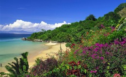 Magical Madagascar