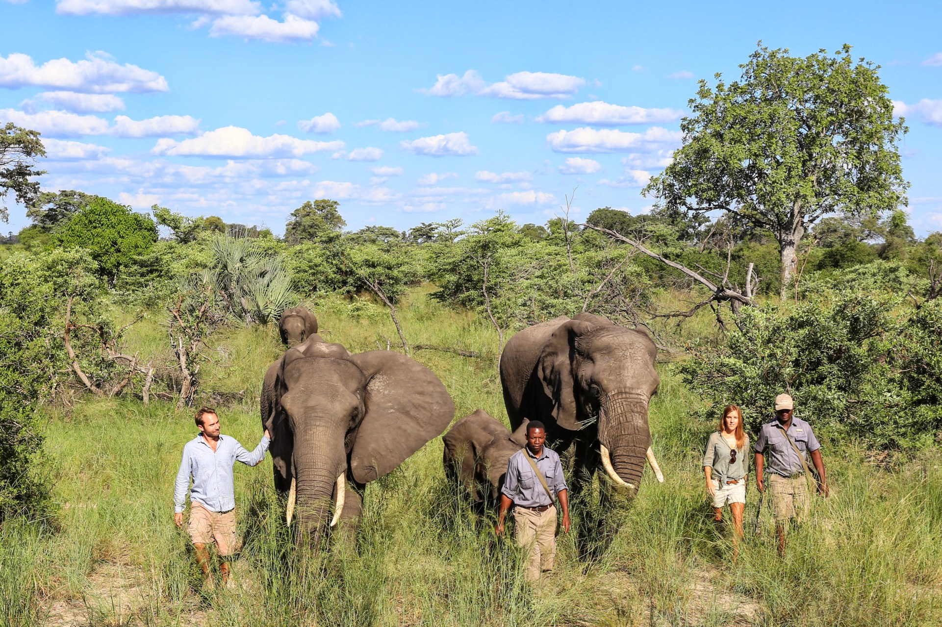 safari in july botswana
