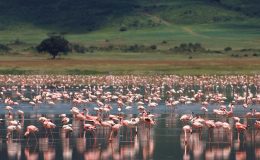 African landmarks UNESCO Ngorongoro crater, Tanzania