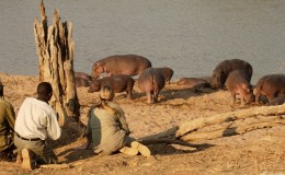 A Zambia And Malawi Family Safari For Teenagers
