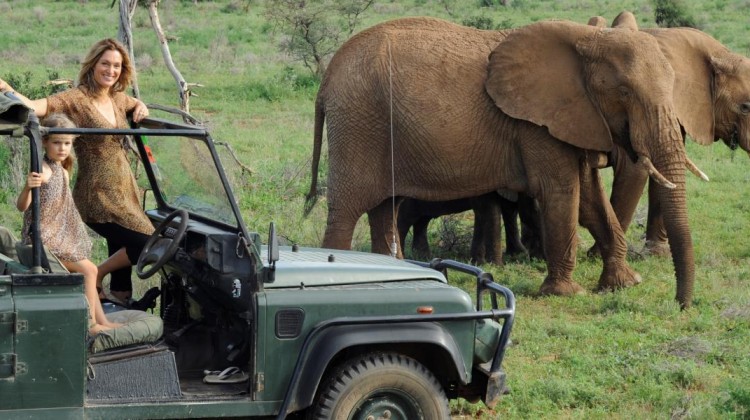 Saba Douglas-Hamilton, elephant conservationist, elephant safari guide and daughter in a 4x4 with two elephants, Samburu, Kenya