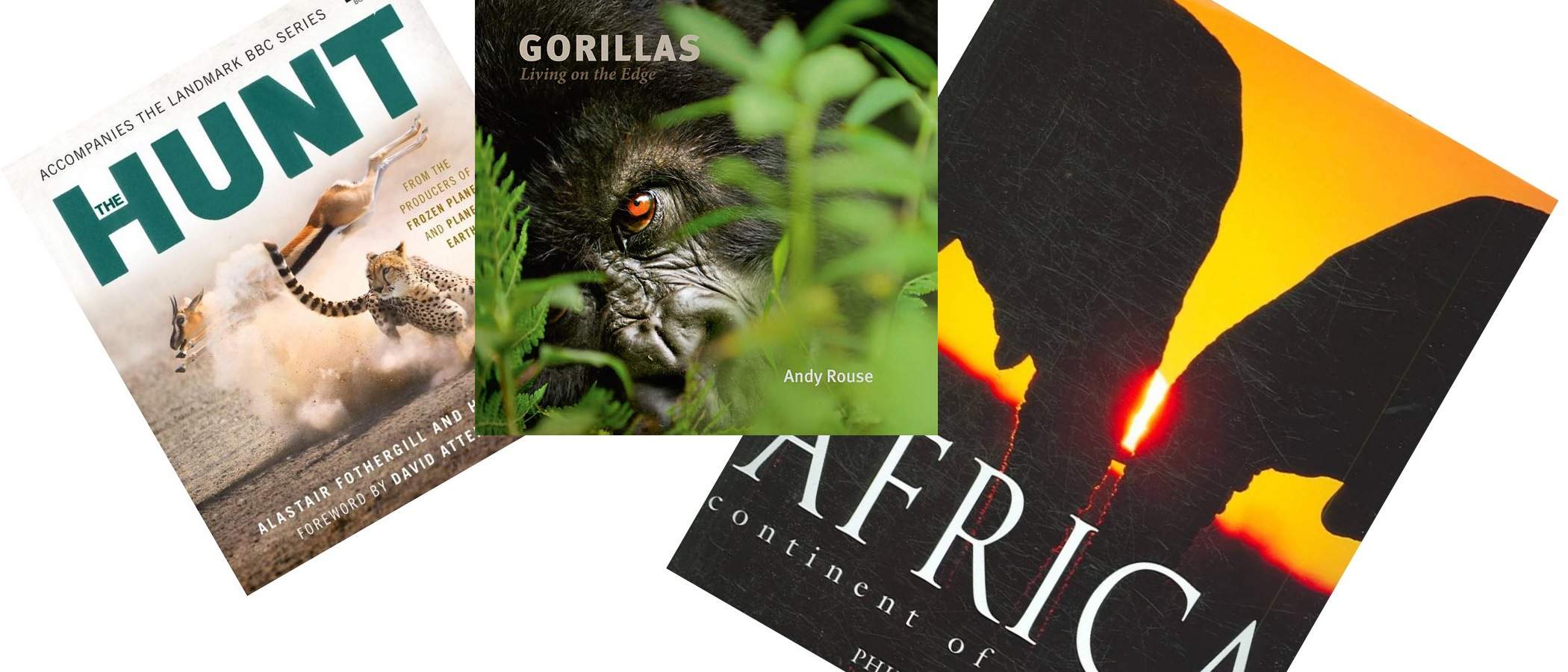Coffee Table Books to Celebrate Africa Day - 7 Books That Showcase