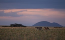 5 Secret Places In Kenya You'll Love