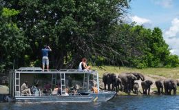 Zambezi Queen luxury Botswana safari cruise