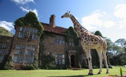 giraffe manor
