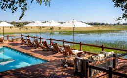 Family safari holiday - Chief's Camp Pool, Botswana