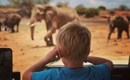 laikipia wilderness child watching elephants