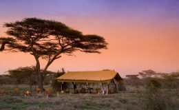 Mobile safaris - camp lit up with lanterns