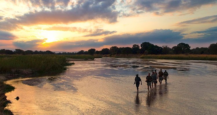 Walking Safaris - guide and group walking in the river South Luangwa, Robin Pope Safaris