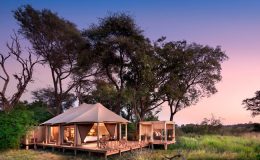 Luxury tents - Nxabega Okavango Tented Camp