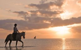 Beach fun, Mozambique Horse Safaris
