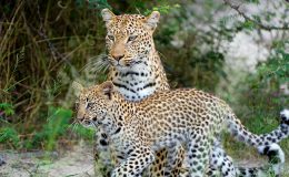 telegraph travel awards