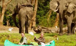 Tusk and Mane safaris canoeing with elephants