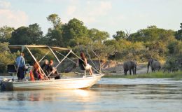 family river boat cruise Zambezi watching elephants - River Club - family safari camps in Zambia
