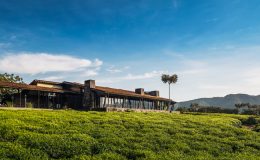 Nyongwe House primate safaris