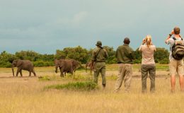Hosted Zambia safari with Lucinda Rome