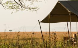 Top Experiences Tanzania - lady watching zebra from safari tent porch