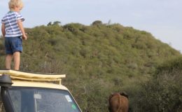 too young safari