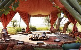 Jack's Camp Bedouin tea tent interior