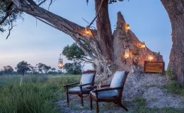 Dreaming of safari?  We’d be delighted to help