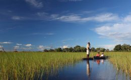 Tuli to the Delta