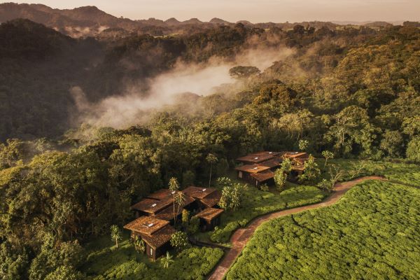 Nyungwe House, nestled within the rolling hills of tea plantations and forest