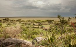My Tanzania - Q&A with safari guide George Phestor at Wayo Africa