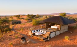 wild South Africa