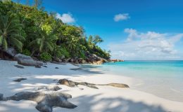 safari and beach lemuria seychelles