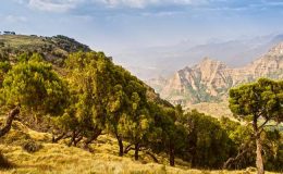 Ethiopia – The Africa you didn’t expect