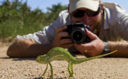 Specialist safaris to book ahead