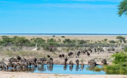 How to do Namibia