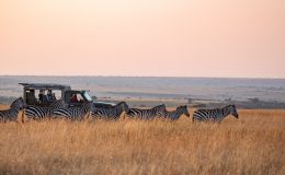 Investing for the future of wildlife and communities